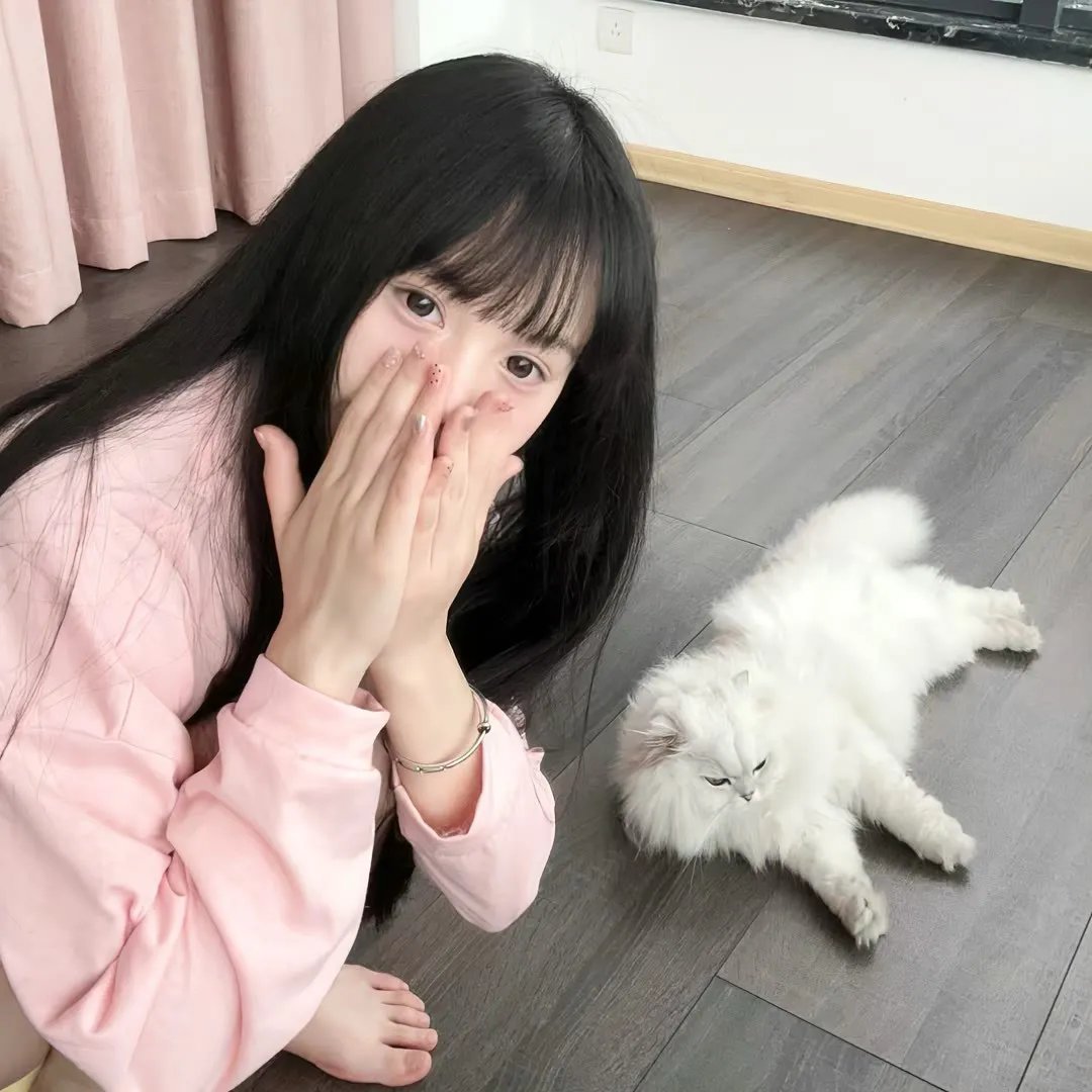 爱是一只猫